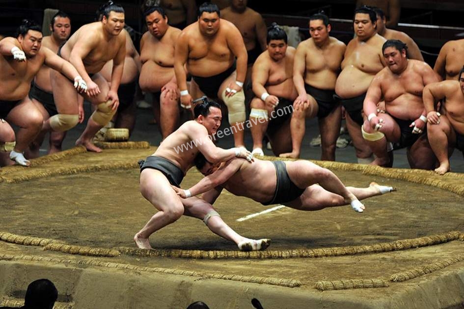 Tour thăm quan buổi tập luyện của các võ sĩ Sumo (ORT14)