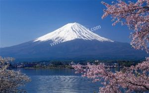 Tour Nhật mùa hoa anh đào 2019: HÀ NỘI – TOKYO – HAKONE – NÚI PHÚ SĨ