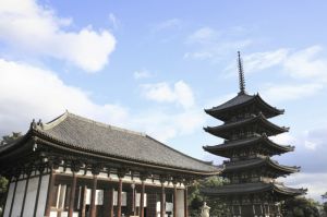 Tham quan Kyoto, núi Phú Sĩ/Hakone và Tokyo trong 6 ngày