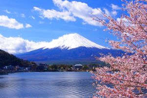 Đón mùa đông trên cung đường Vàng: Tokyo - Núi Phú Sĩ - Nagoya - Kyoto - Osaka