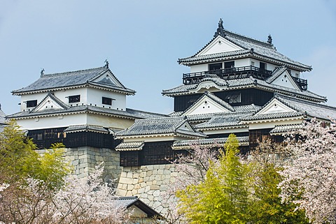 Matsuyamacastle