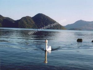 Tour 1 ngày thăm quan hồ Shikotsu và hồ Toya