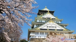 Combo du lịch Nhật Bản mùa hoa anh đào 2017